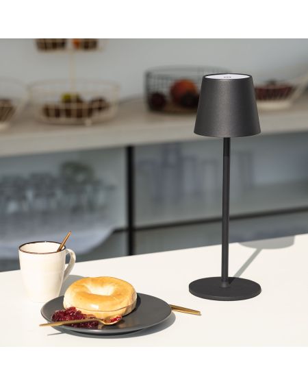 Lampe à Poser LED Portable 3W Anisa Métal avec Batterie Rechargeable USB