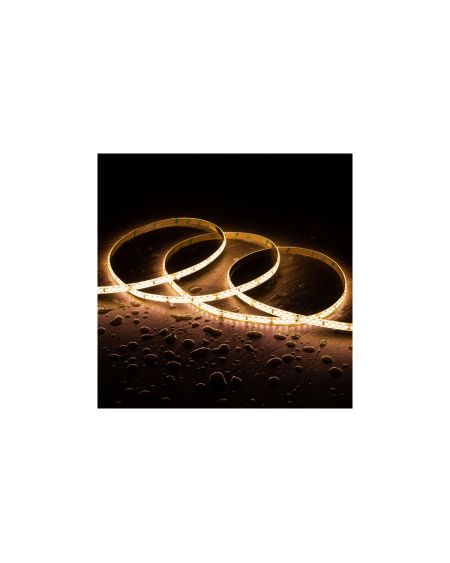 Ruban LED 12V DC SMD2835 60LED/m 5m IP68 Largeur 10mm Coupe 5cm