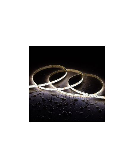 Ruban LED 12V DC SMD2835 60LED/m 5m IP68 Largeur 10mm Coupe 5cm