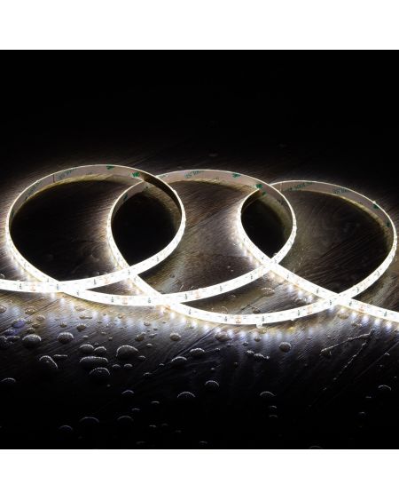 Ruban LED 24V DC SMD2835 120LED/m 5m IP44 Largeur 8mm Coupe 5cm