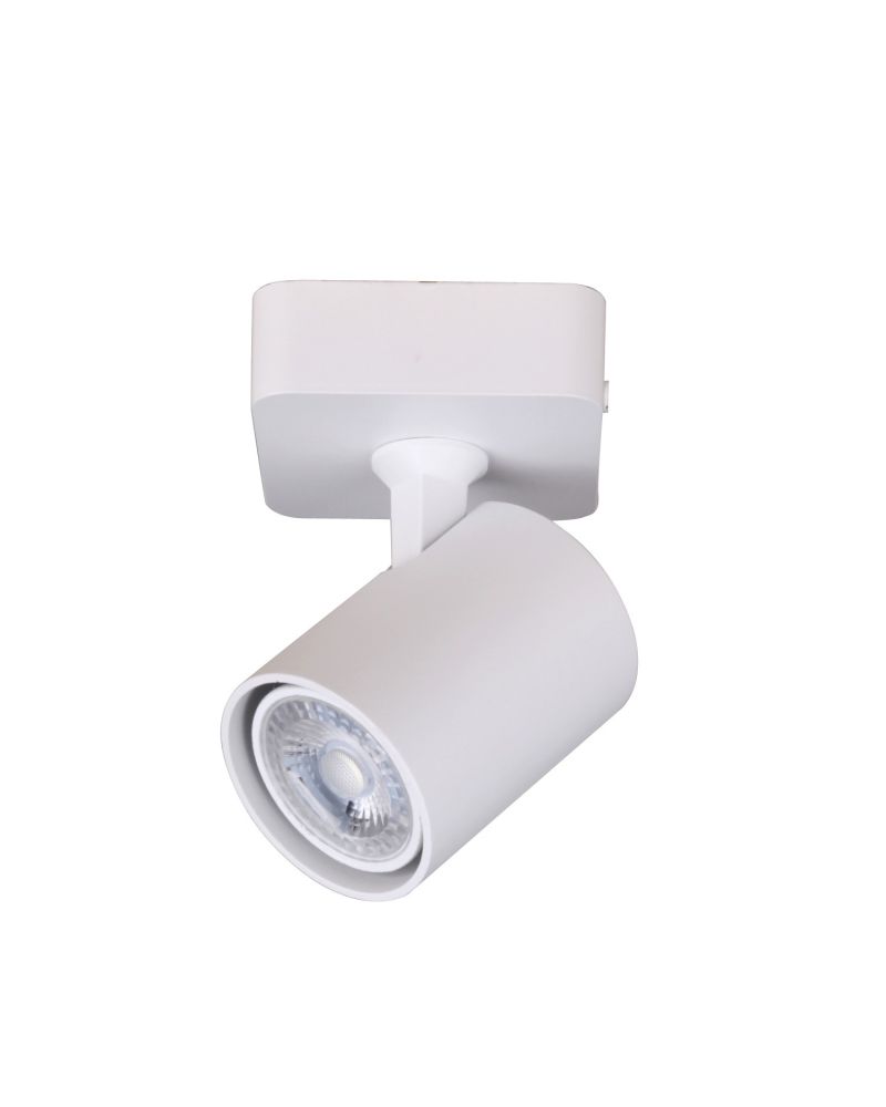 Plafonnier Orientable Cora 1 Spot Blanc