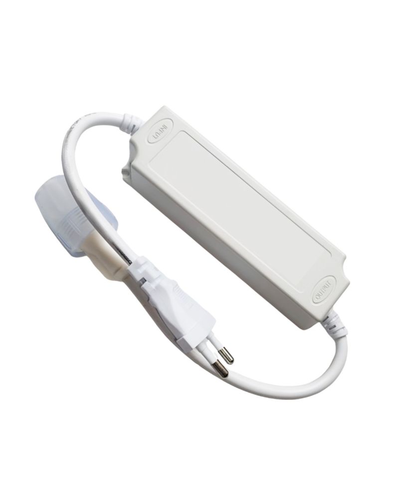 Driver No Flicker pour Ruban LED Auto-Redressement 220V AC SMD IP65 Largeur 12mm