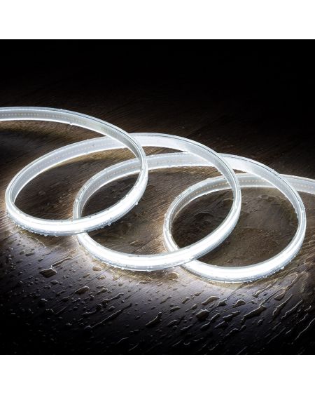 Ruban LED 220V COB 320 LED/m Blanc Froid IP65 CRI90 Largeur 12mm Coupe tous les 50cm