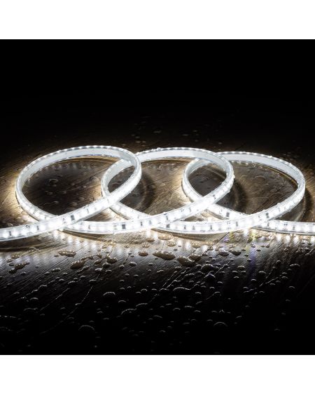 Ruban LED Dimmable Auto-redressement 220V SMD2835 120LED/m 1000 lm/m IP65 Largeur 12mm sur mesure Coupe tous les 10cm