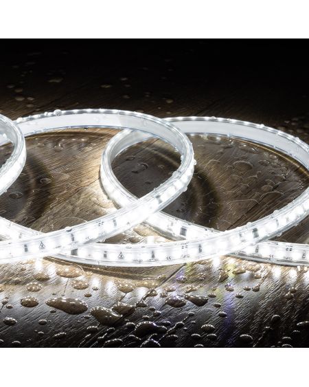 Ruban LED Dimmable Auto-redressement 220V SMD2835 120LED/m 1000 lm/m IP65 Largeur 12mm sur mesure Coupe tous les 10cm