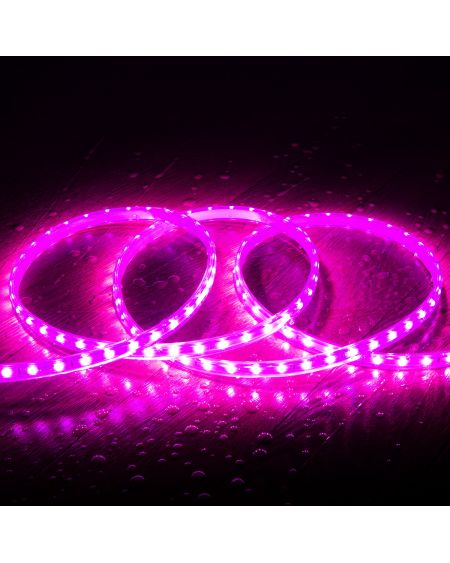 Ruban LED 220V SMD2835 60LED/m Rose IP65 Largeur 12mm Coupe tous les 100cm