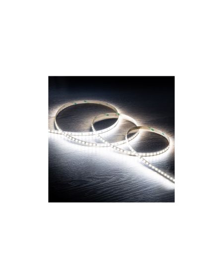 Ruban LED 24V DC SMD2835 120LED/m IP20 20m Largeur 10mm Coupe 5cm Longue Distance