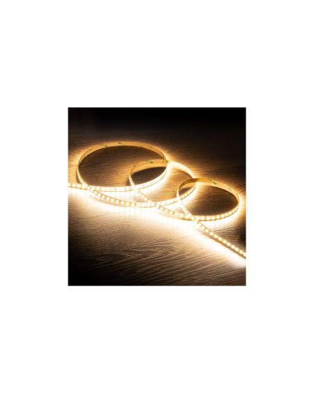 Ruban LED 24V DC SMD2835 120LED/m IP20 20m Largeur 10mm Coupe 5cm Longue Distance