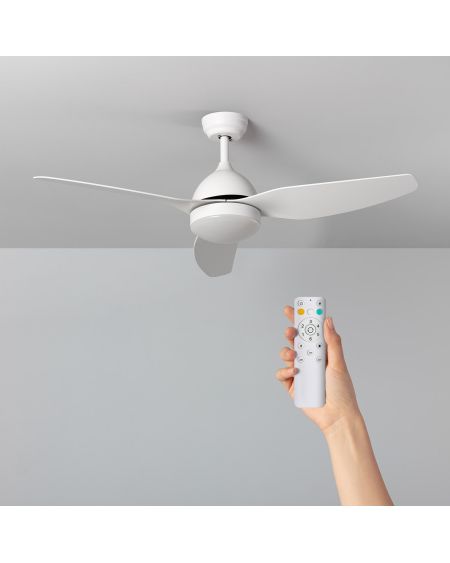Ventilateur de Plafond Silencieux Woolworth Blanc 127cm Moteur DC