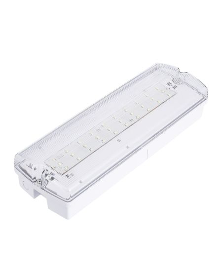 Balise de Secours LED En saillie 200lm Permanent/Non permanent IP65