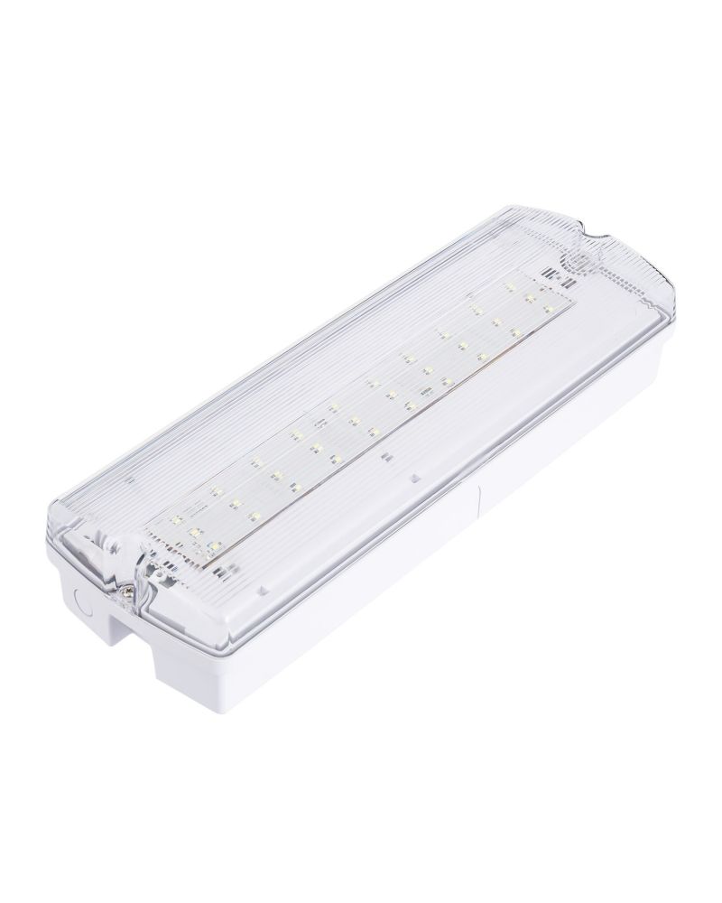 Balise de Secours LED En saillie 200lm Permanent/Non permanent IP65