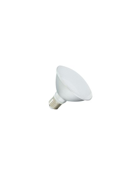 Ampoule LED E27 10W 900 lm PAR30 IP65