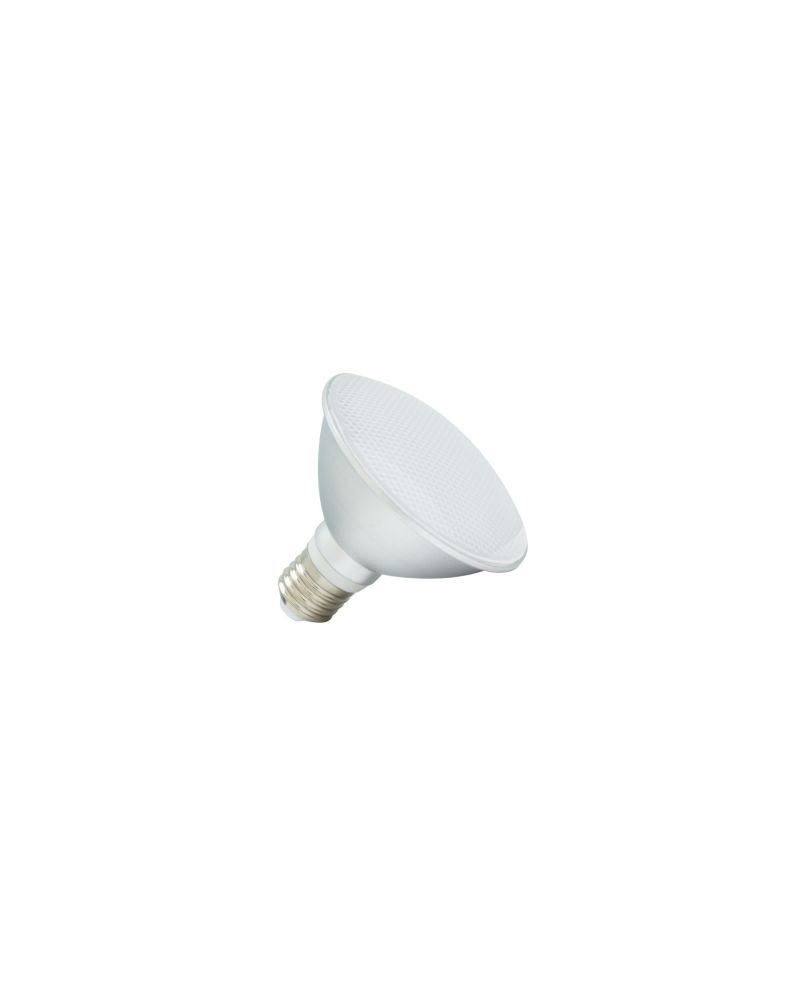 Ampoule LED E27 10W 900 lm PAR30 IP65