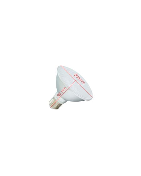Ampoule LED E27 10W 900 lm PAR30 IP65