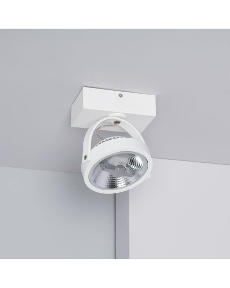 Spot LED 15W CREE en Saillie Orientable AR111 Dimmable Blanc