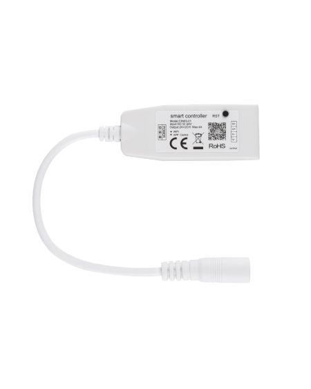 Mini Contrôleur Variateur Ruban LED 12/24V DC Monochrome WiFi