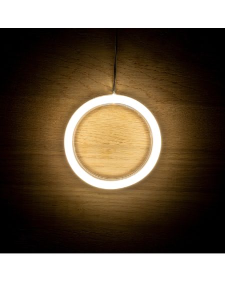 Lettres Néon LED