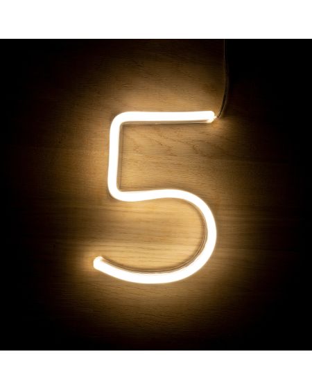 Numéros et Symboles Néons LED