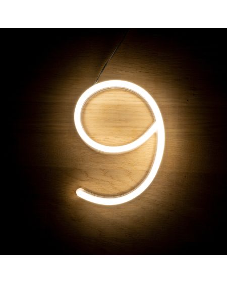 Numéros et Symboles Néons LED