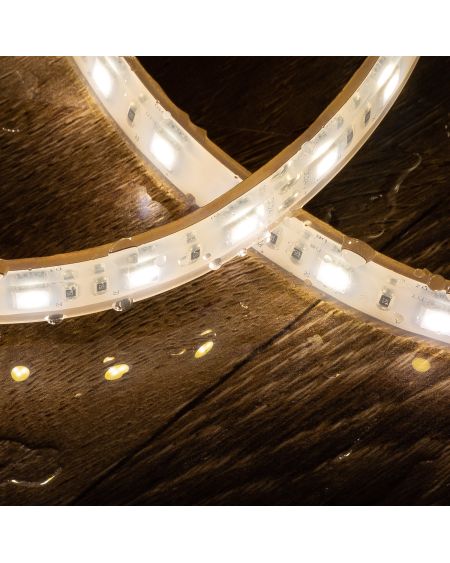 Ruban LED 24V DC 60LED/m Submersible 5m IP68 Largeur 12mm Coupe tous les 10cm