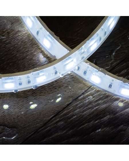 Ruban LED 24V DC 60LED/m Submersible 5m IP68 Largeur 12mm Coupe tous les 10cm