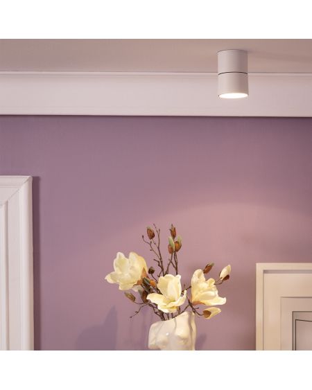 Applique LED Aluminium Ronde New Onuba 7W Blanche