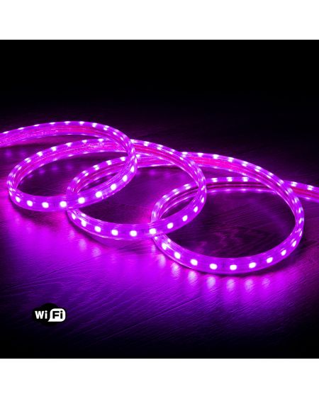 Ruban LED WiFi 220V AC 60LED/m Violet IP65 sur Mesure Largeur 14mm Coupe tous les 100cm