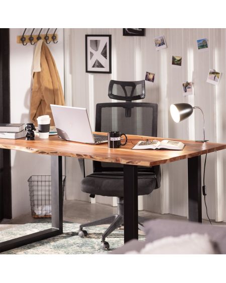Lampe de Bureau Flex Métal Ripley Eret avec Pince
