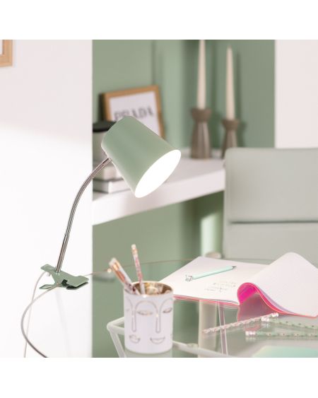 Lampe de Bureau Flex Métal Delavan avec Pince