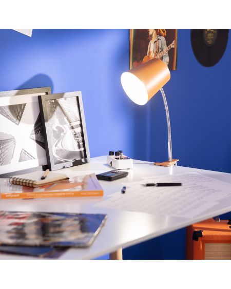 Lampe de Bureau Flex Métal Delavan avec Pince