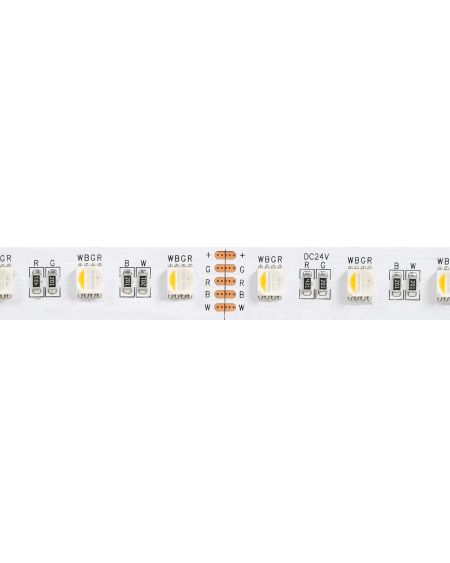 Ruban LED 24V DC 60LED/m RBGW 5m IP20 Largeur 12mm Coupe tous les 10cm