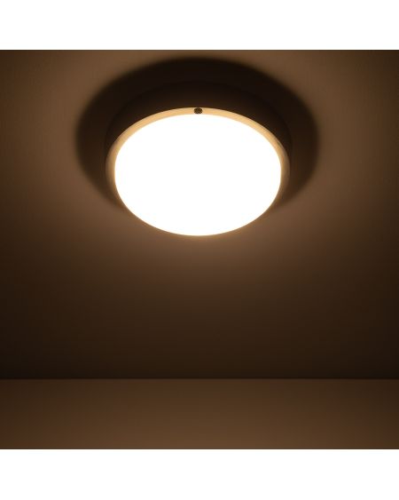 Plafonnier LED Extérieur Rond 25W Hublot Black IP65 Ø175 mm