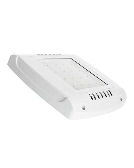 Spot LED Canopy Spécial Stations-Service 100W  150lm/W Driver   Dimmable 1-10V