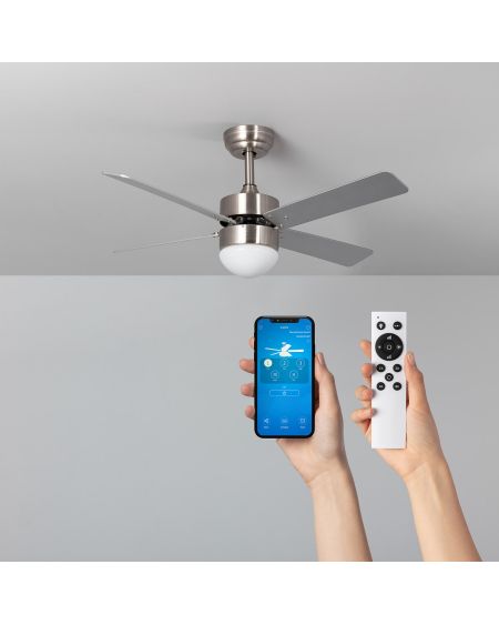 Ventilateur de Plafond Silencieux Cygnus Niquel 107cm Moteur DC WiFi