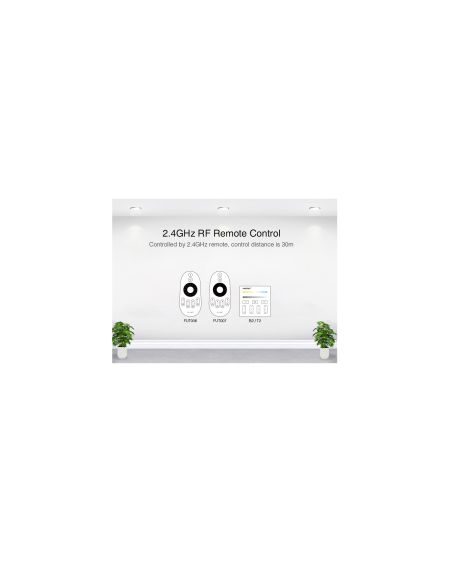 Contrôleur Variateur Mural Tactile LED CCT 12/24 V DC RF MiBoxer P2