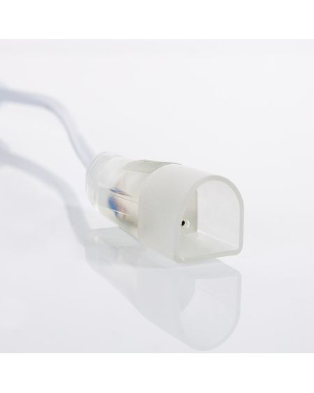 Câble Rectificateur pour Gaine Néon LED Flexible 7.5W/m 220V AC 100 LED/m Semi-circulaire 180° Monochrome IP67