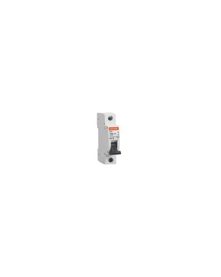 Disjoncteur Résidentiel 1P-6kA 6-40A Courbe C MAXGE