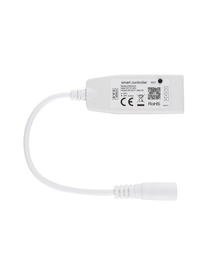 Kit Ruban LED 12V DC 60LED/m RGB 5m IP65 Largeur 10mm Coupe tous les 5cm avec Contrôleur WiFi et Transformateur