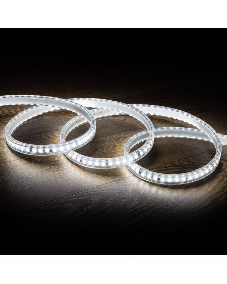 Ruban LED Dimmable 220V AC Solid 120LED/m Blanc Froid IP65 sur Mesure Largeur 14mm Coupe tous les 10cm