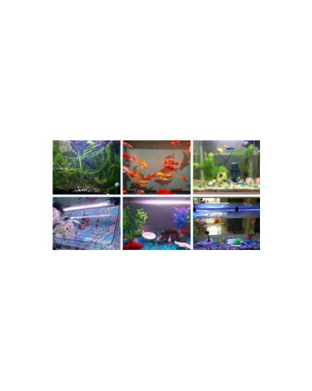 Lumière Aquarium LED RGBW 1.5W IP67