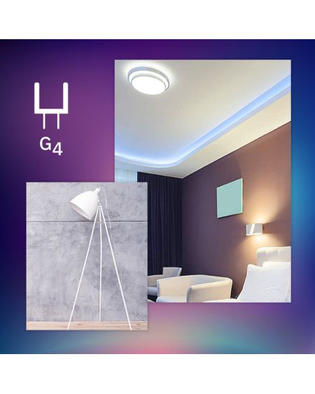 Ampoule LED G4 1.8W 180 lm 12V