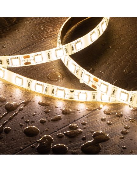 Ruban LED 24V DC 60LED/m 2m IP65 Largeur 10mm Coupe tous les 10cm