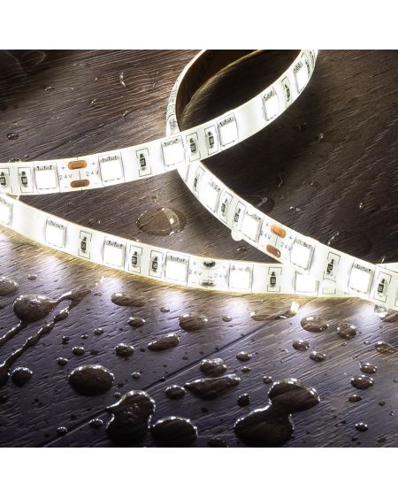 Ruban LED 24V DC 60LED/m 2m IP65 Largeur 10mm Coupe tous les 10cm