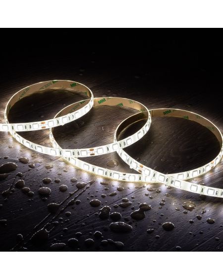 Ruban LED 24V DC 60LED/m 2m IP65 Largeur 10mm Coupe tous les 10cm
