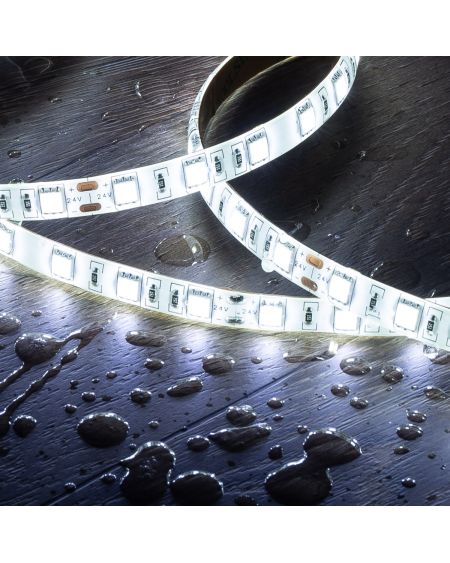 Ruban LED 24V DC 60LED/m 2m IP65 Largeur 10mm Coupe tous les 10cm