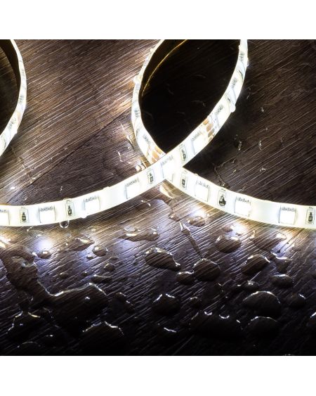 Ruban LED 24V DC 60LED/m 5m CCT Sélectionnable IP65 Largeur 10mm Coupe tous les 5cm