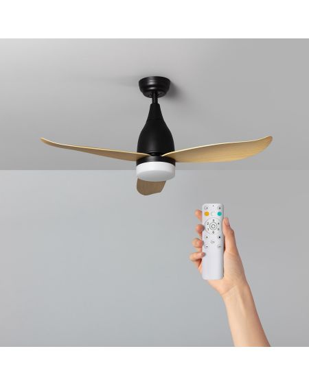 Ventilateur de Plafond Silencieux Dhoti Noir 110cm Moteur DC