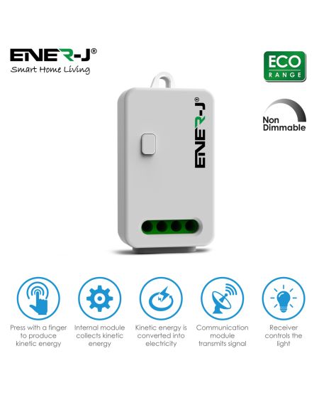 Récepteur RF 10A non variable, charge maximale 1000W LED